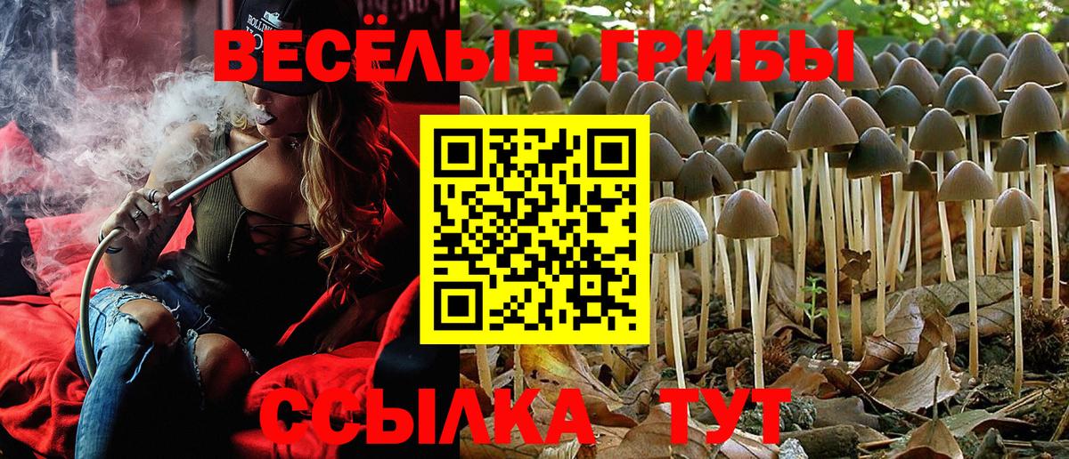 Псилоцибиновые грибы MAGIC MUSHROOMS Сибай