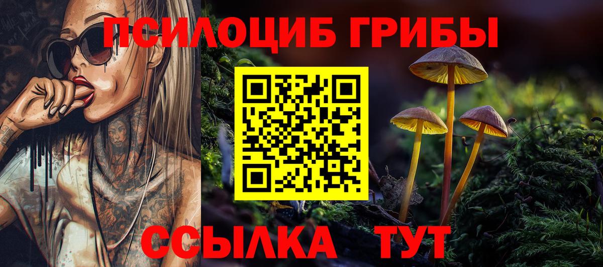 Сибай  Галлюциногенные грибы Psilocybine cubensis  Вход с VPN 